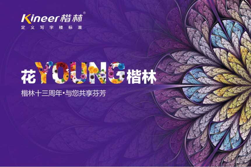 花YOUNG楷林十三年：锐意拓新，行路致远