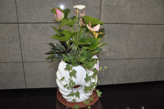 楷林物业将春意带进写字楼