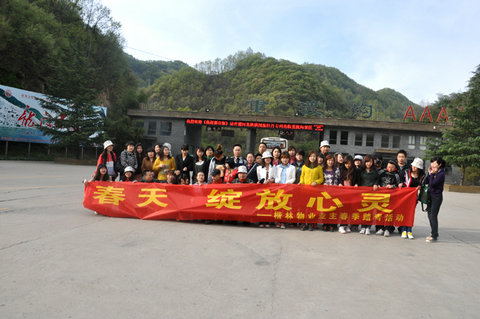楷林业主春季踏青活动