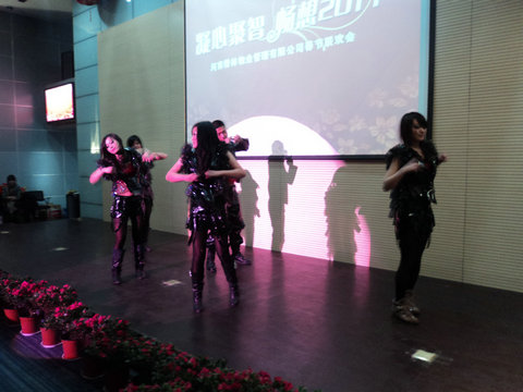 楷林物业2011新年联欢会圆满举行————凝心聚智 畅想2011